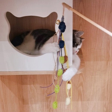 Cat Stick & Toy Set