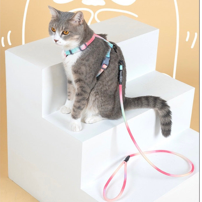 Touchcat Cat Harness Set