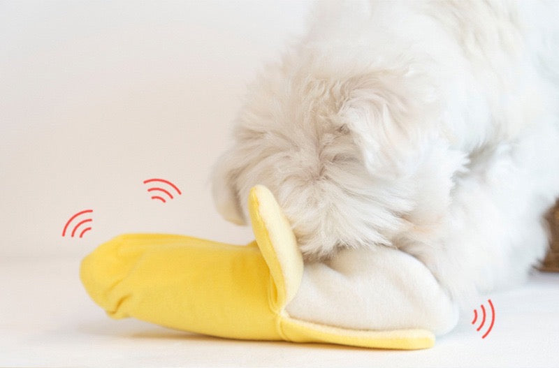 Banana Sniffing Dog Toy
