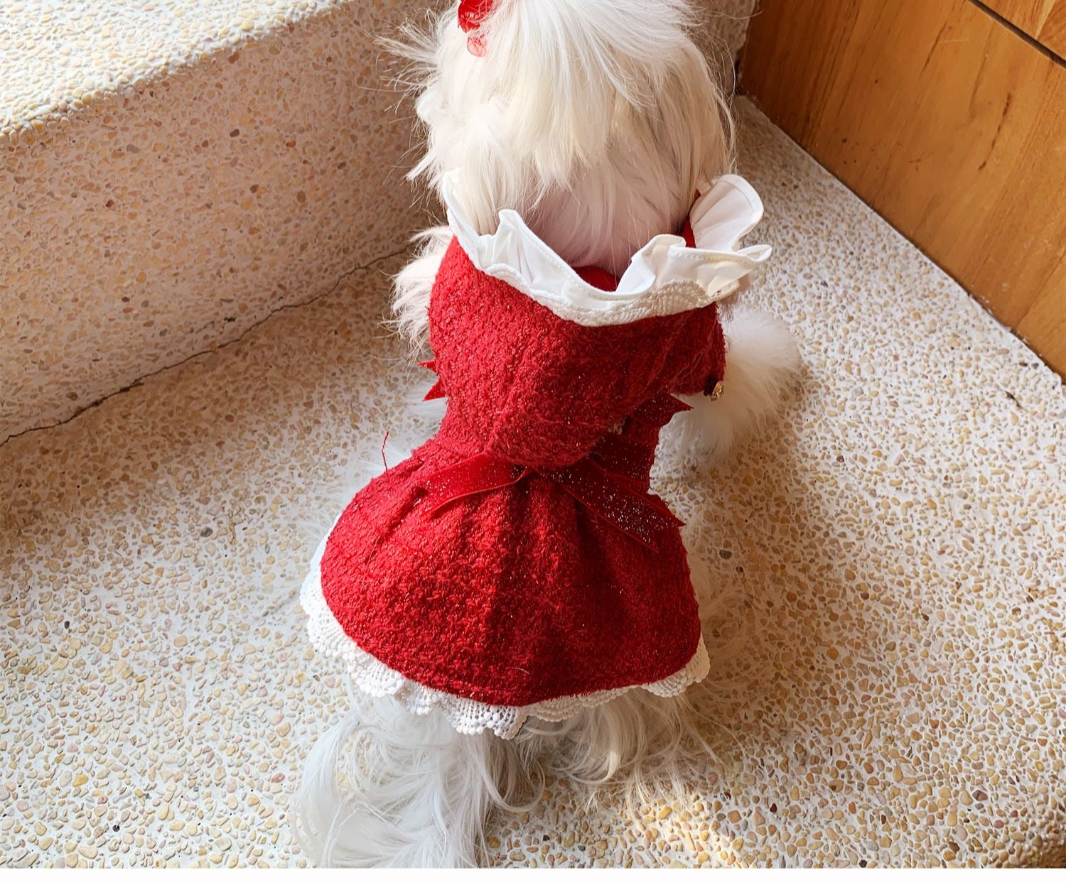 Pokimo Holiday Pet Dress Set