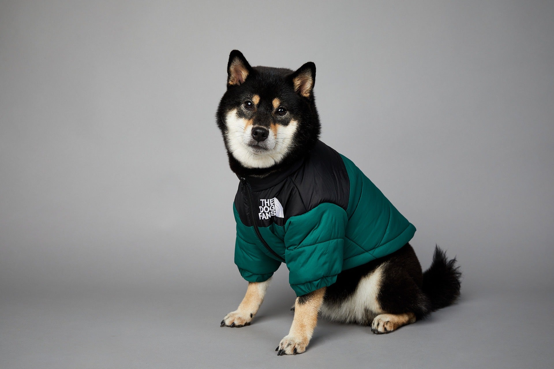 The Dog Fans Winter Puffer Jacket