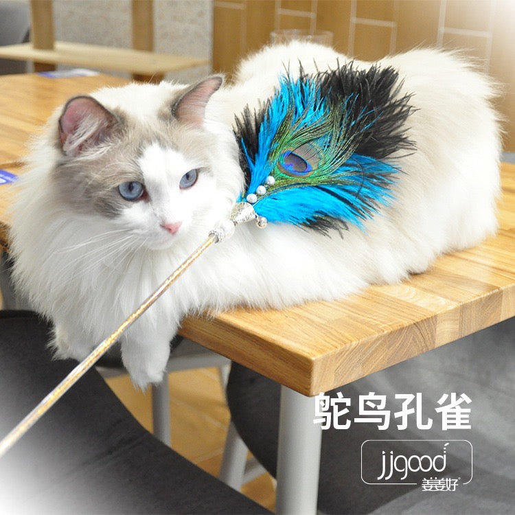 Peacock Feather Cat Teaser