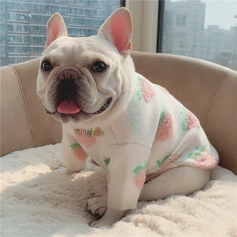 Sweet Peach Dog Sweater