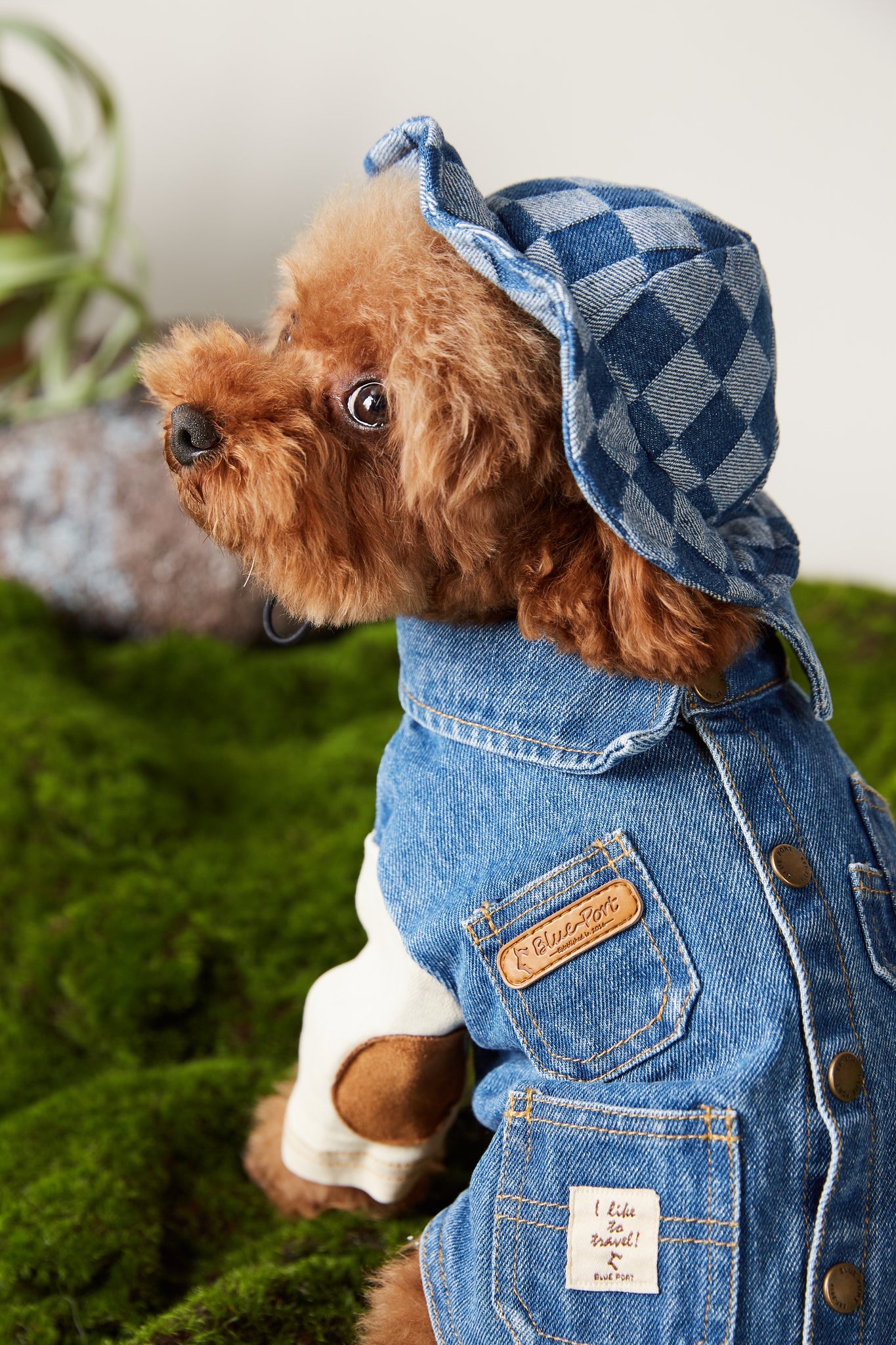 Blue Port Jean Jacket