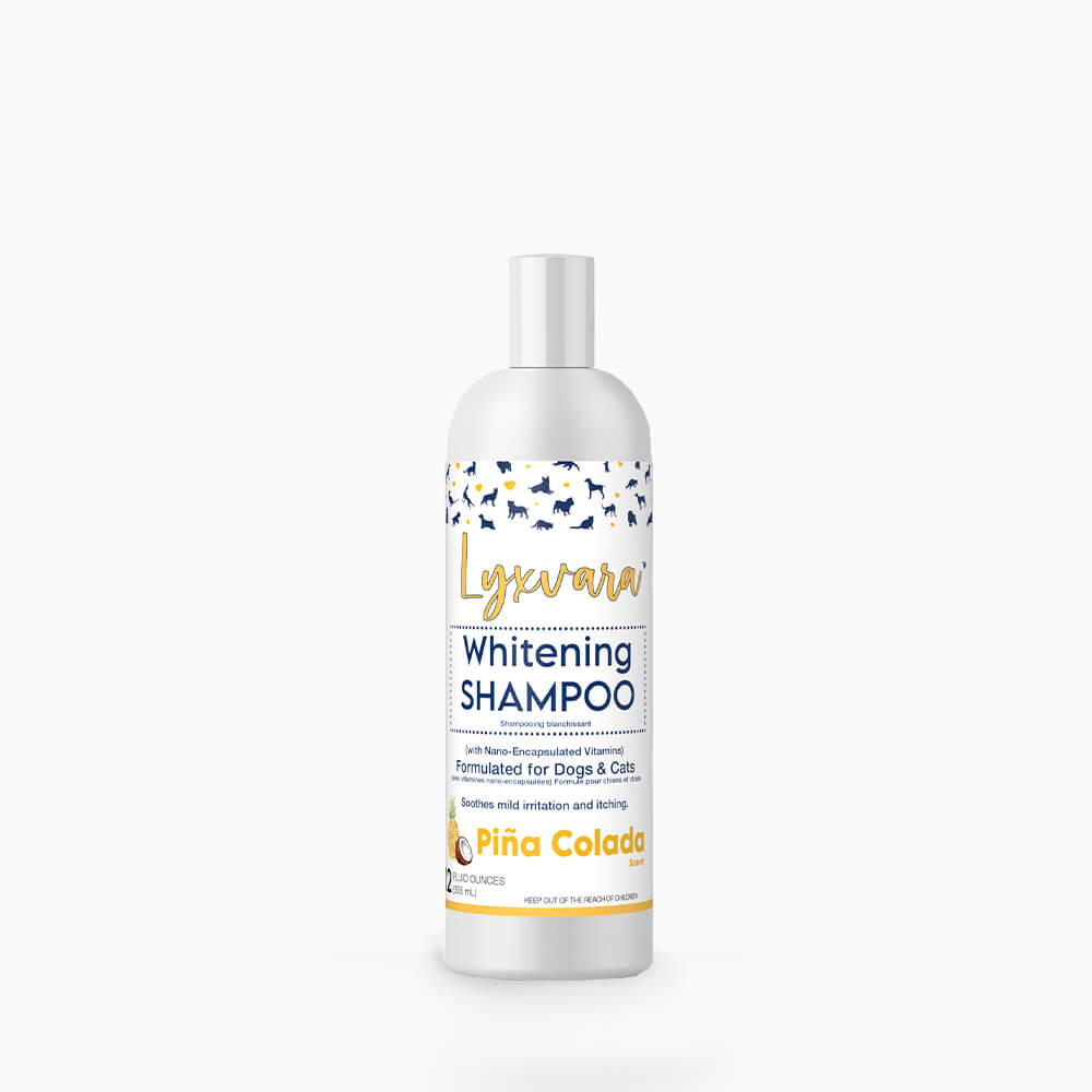 Lyxvara Bright Whitening Shampoo