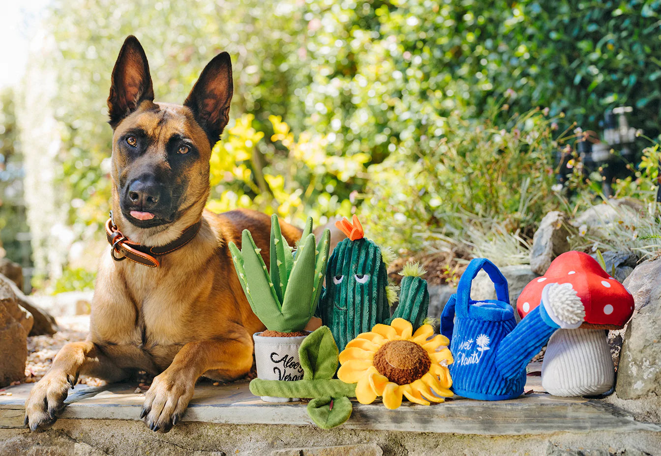 PLAY - Blooming Buddies Plush Dog Toy