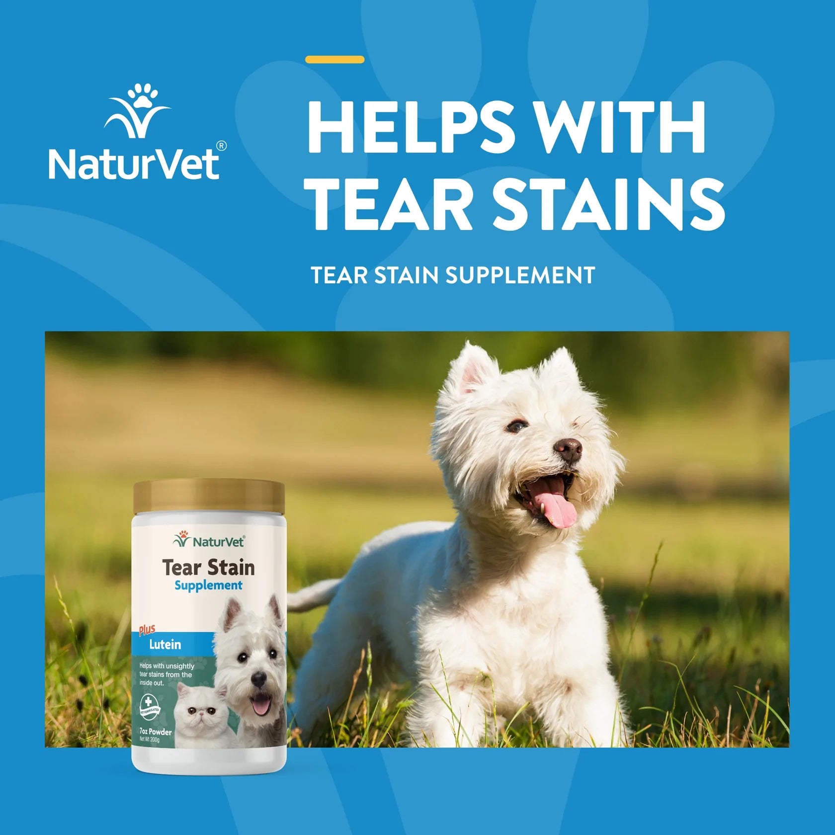 TEAR STAIN SUPPLEMENT