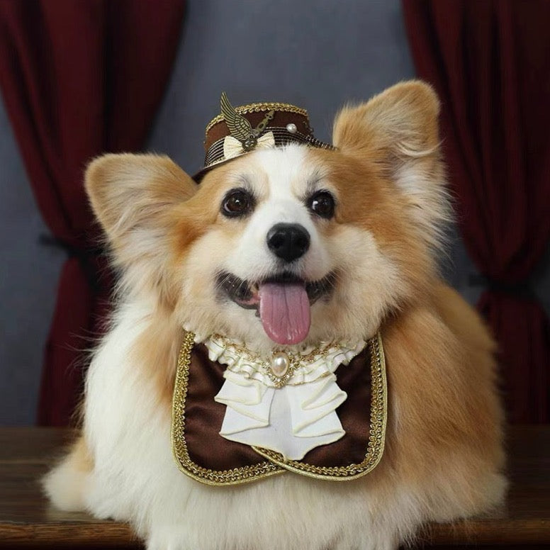 Little Gentleman Pet Costume