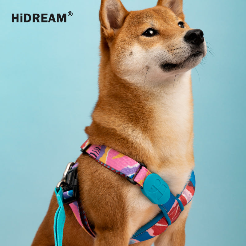 HiDREAM Rainbow Series Harness