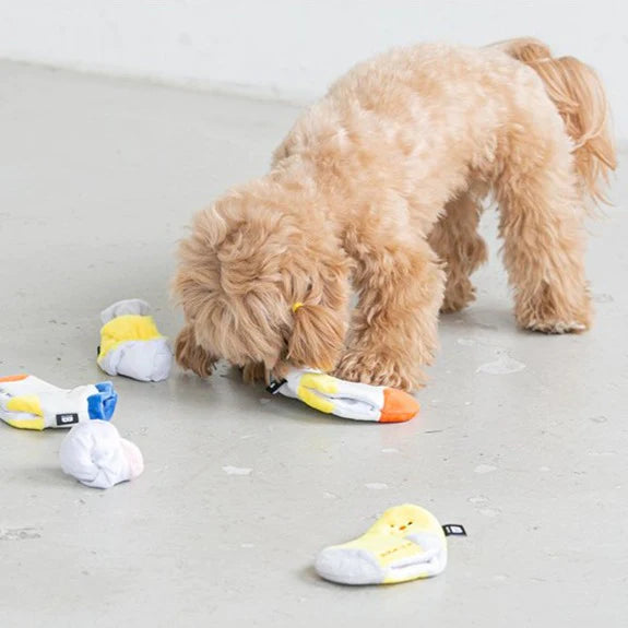 Socks Sniffing Dog Toy
