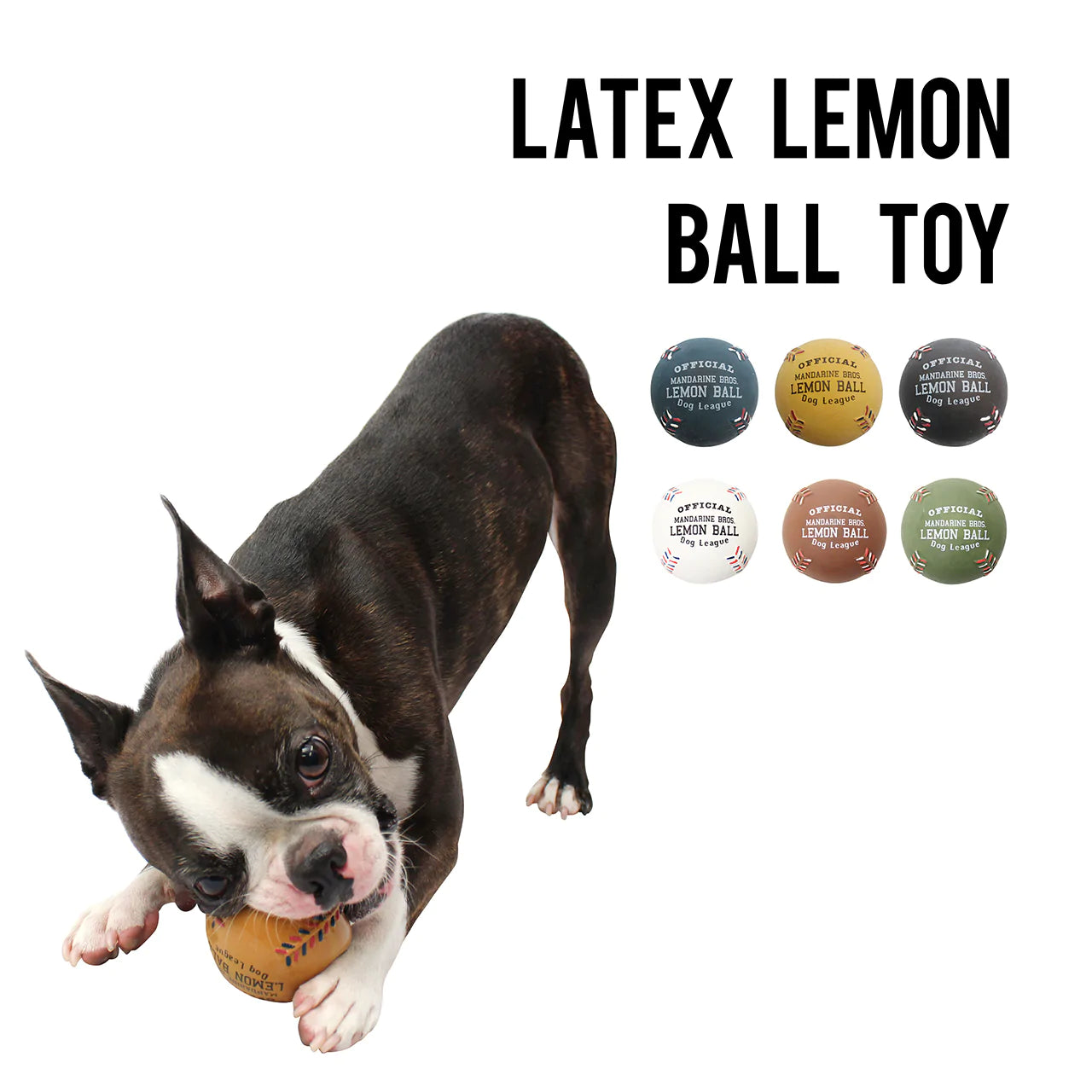 Mandarine Brother - Latex Squeaky Dog Toy