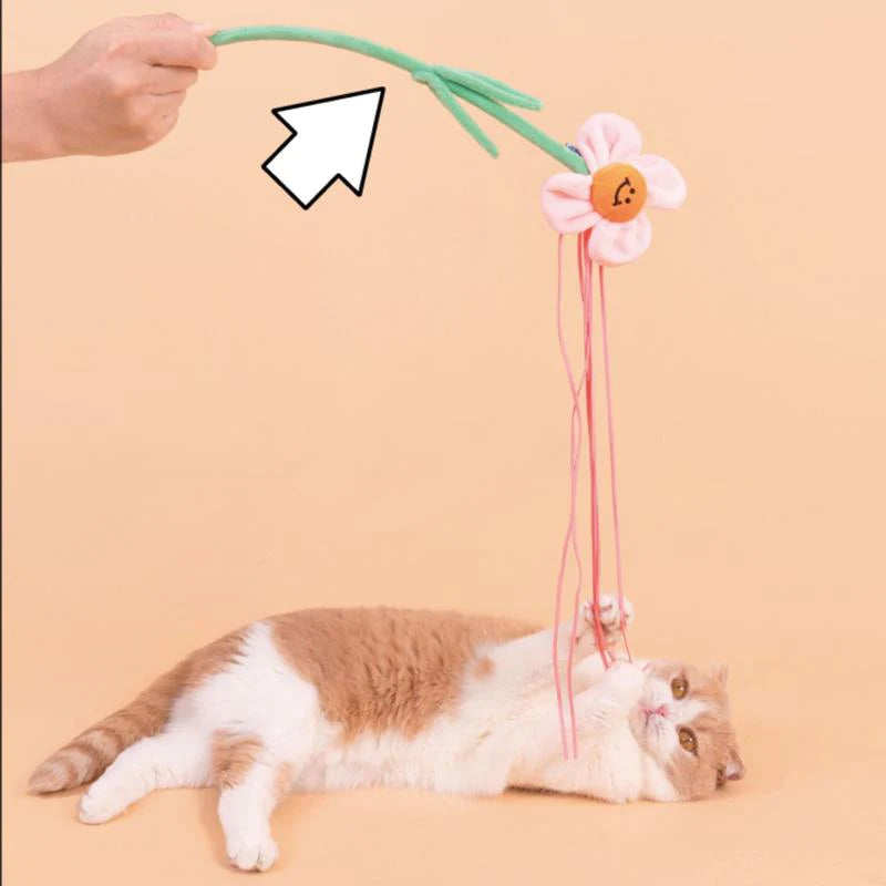 Flower Funny Cat Teaser